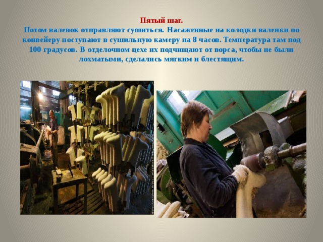 Пятый шаг.  Потом валенок отправляют сушиться.  Насаженные на колодки валенки по конвейеру поступают в сушильную камеру на 8 часов. Температура там под 100 градусов.  В отделочном цехе их подчищают от ворса, чтобы не были лохматыми, сделались мягким и блестящим. 
