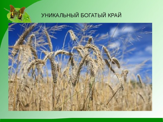 УНИКАЛЬНЫЙ БОГАТЫЙ КРАЙ 