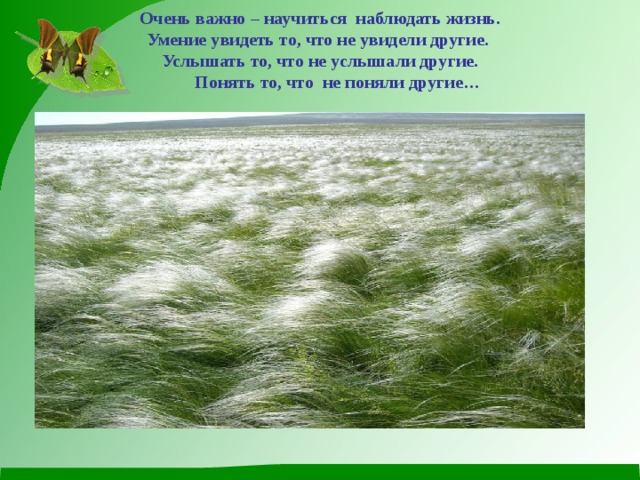Очень важно – научиться наблюдать жизнь.  Умение увидеть то, что не увидели другие.  Услышать то, что не услышали другие.  Понять то, что не поняли другие…   