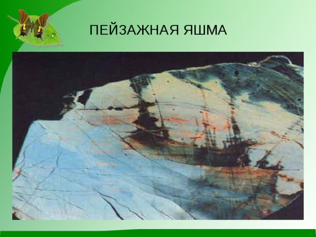 ПЕЙЗАЖНАЯ ЯШМА 