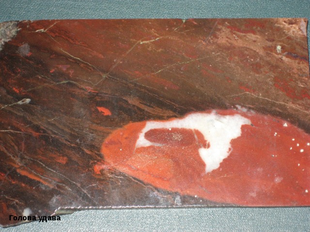 Голова удава 