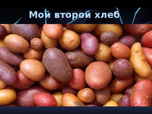 Мой второй хлеб 
