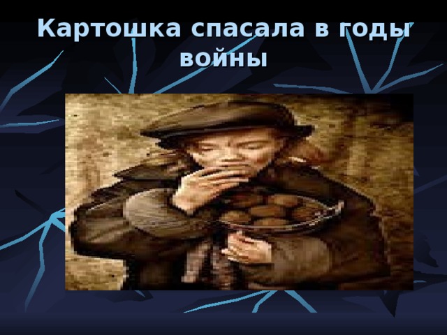 Картошка спасала в годы войны 