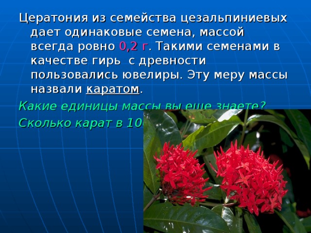 Цератония из семейства цезальпиниевых дает одинаковые семена, массой всегда ровно 0,2 г . Такими семенами в качестве гирь с древности пользовались ювелиры. Эту меру массы назвали каратом . Какие единицы массы вы еще знаете? Сколько карат в 100 г? 