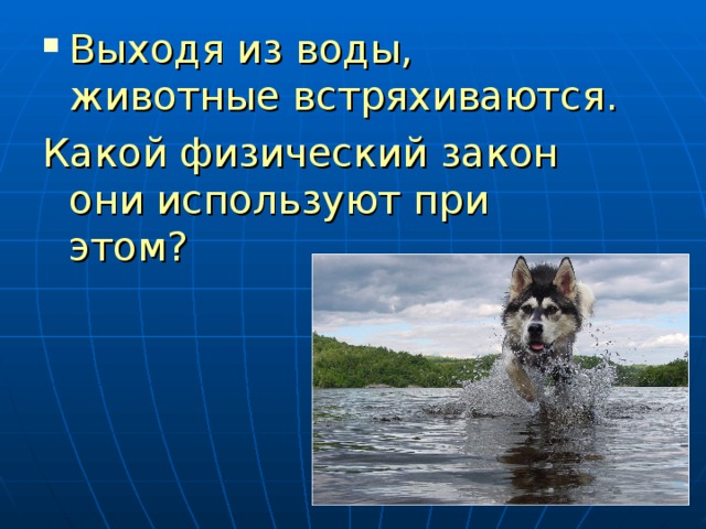 Выходя из воды, животные встряхиваются. Какой физический закон они используют при этом? 