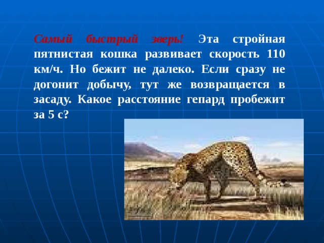 С какой скоростью бежит гепард м с. Скорость гепарда км/ч. Гепард скорость бега км/ч максимальная. Гепард скорость бега км/ч. Самое быстрое животное скорость км ч.