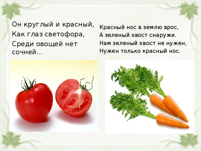  Красный нос в землю врос, А зеленый хвост снаружи. Нам зеленый хвост не нужен, Нужен только красный нос. Он круглый и красный, Как глаз светофора, Среди овощей нет сочней… 