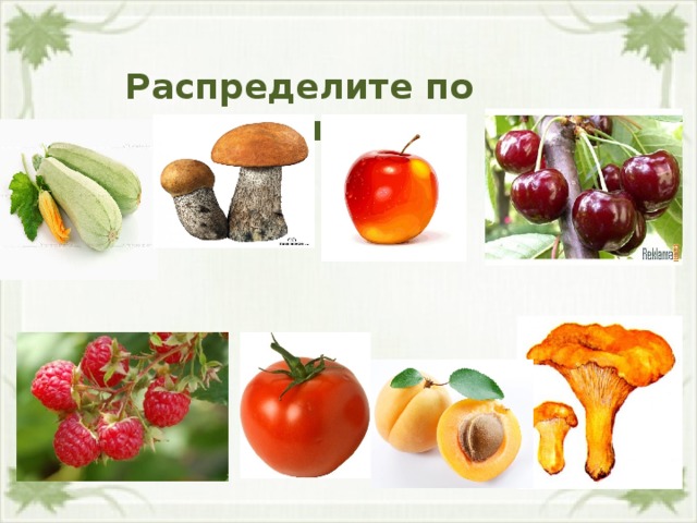 Распределите по группам. 