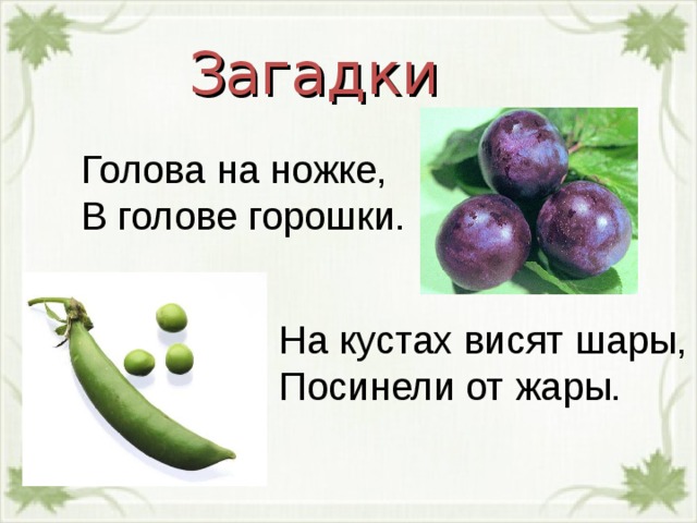Загадки Голова на ножке, В голове горошки. На кустах висят шары, Посинели от жары. 