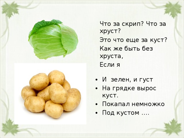 Что за скрип? Что за хруст? Это что еще за куст? Как же быть без хруста, Если я И зелен, и густ На грядке вырос куст. Покапал немножко Под кустом …. 
