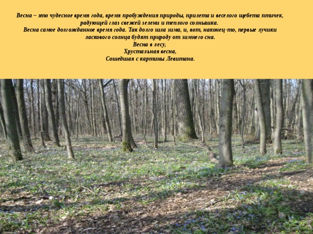     Весна – это чудесное время года, время пробуждения природы, прилета и веселого щебета птичек, радующей глаз свежей зелени и теплого солнышка.  Весна самое долгожданное время года. Так долго шла зима, и, вот, наконец-то, первые лучики ласкового солнца будят природу от зимнего сна.  Весна в лесу,  Хрустальная весна,  Сошедшая с картины Левитана.      