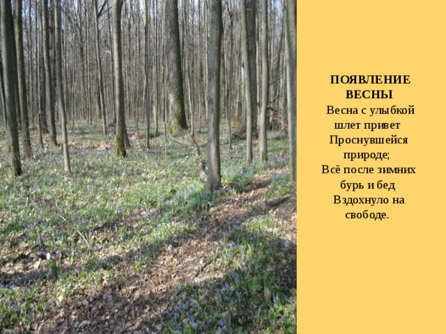   ПОЯВЛЕНИЕ ВЕСНЫ   Весна с улыбкой шлет привет   Проснувшейся природе;   Всё после зимних бурь и бед   Вздохнуло на свободе.       