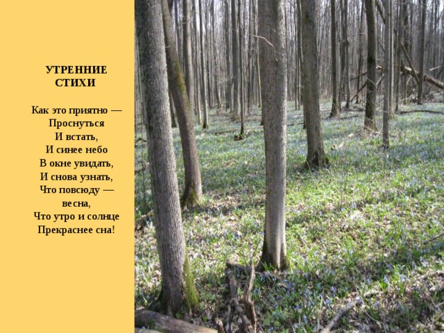 Горный дубок увидал что под ним. Как это приятно проснуться и встать и синее небо в окне увидать. Стих как это приятно проснуться и встать. Синее небо в окне увидать!. Маяковский как хорошо проснуться и встать синее небо в окне увидать.