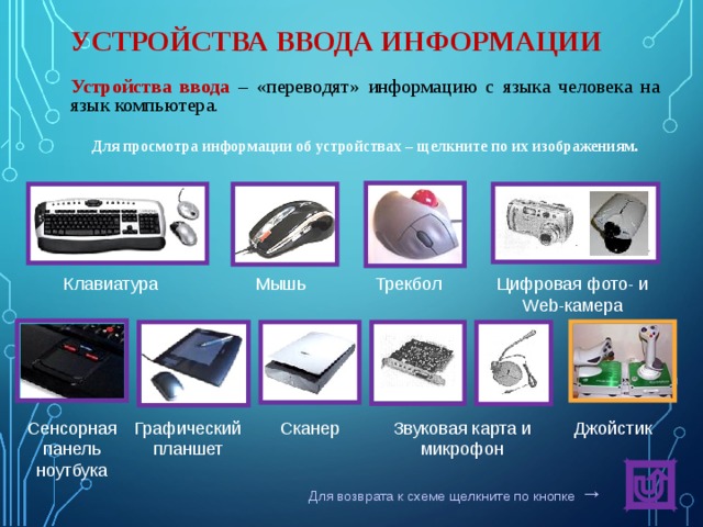 Как называется устройство ввода графических изображений в компьютер тест ответы