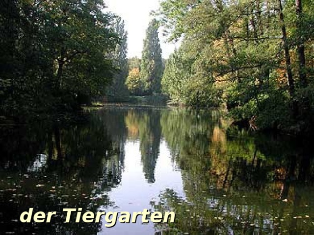 der Tiergarten 