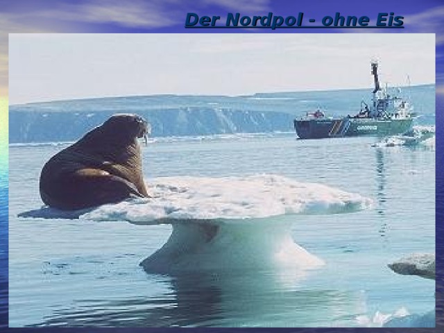 Der Nordpol - ohne Eis   