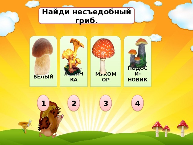 Найди несъедобный гриб.              ПОДОСИ-НОВИК  МУХОМОР БЕЛЫЙ ЛИСИЧКА 1 2 3 4 