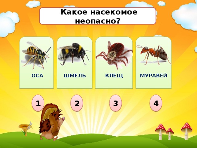  Какое насекомое неопасно?             КЛЕЩ МУРАВЕЙ ШМЕЛЬ  ОСА 1 3 2 4 
