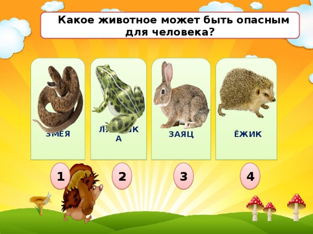  Какое животное может быть опасным для человека?                 ЗМЕЯ ЗАЯЦ  ЁЖИК ЛЯГУШКА 2 4 3 1 