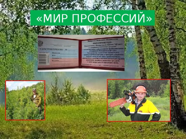  «МИР ПРОФЕССИЙ» 