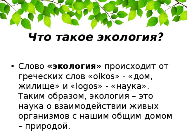 Что такое экология? Слово «экология» происходит от греческих слов «oikos» - «дом, жилище» и «logos» - «наука». Таким образом, экология – это наука о взаимодействии живых организмов с нашим общим домом – природой. 