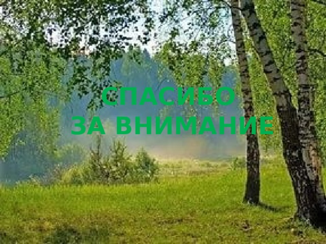 СПАСИБО ЗА  ВНИМАНИЕ 