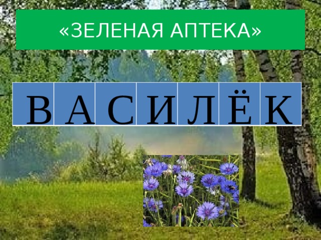 Аптека васильков