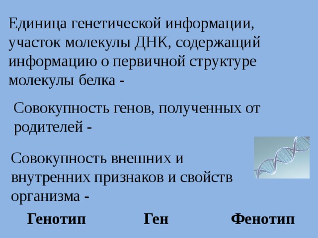 Совокупность внешних и внутренних признаков организма