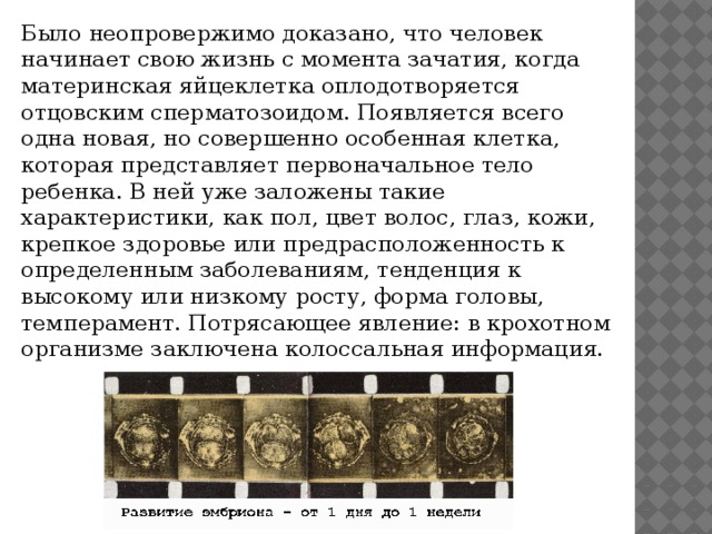 Было неопровержимо доказано, что человек начинает свою жизнь с момента зачатия, когда материнская яйцеклетка оплодотворяется отцовским сперматозоидом. Появляется всего одна новая, но совершенно особенная клетка, которая представляет первоначальное тело ребенка. В ней уже заложены такие характеристики, как пол, цвет волос, глаз, кожи, крепкое здоровье или предрасположенность к определенным заболеваниям, тенденция к высокому или низкому росту, форма головы, темперамент. Потрясающее явление: в крохотном организме заключена колоссальная информация. 