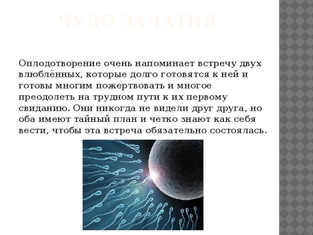 Чудо зачатия Оплодотворение очень напоминает встречу двух влюблённых, которые долго готовятся к ней и готовы многим пожертвовать и многое преодолеть на трудном пути к их первому свиданию. Они никогда не видели друг друга, но оба имеют тайный план и четко знают как себя вести, чтобы эта встреча обязательно состоялась. 