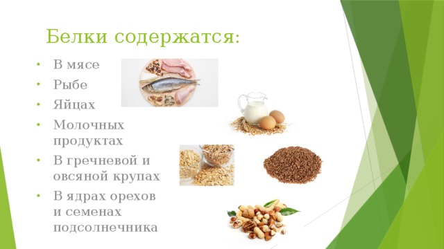 Белки содержатся: В мясе Рыбе Яйцах Молочных продуктах В гречневой и овсяной крупах В ядрах орехов и семенах подсолнечника 