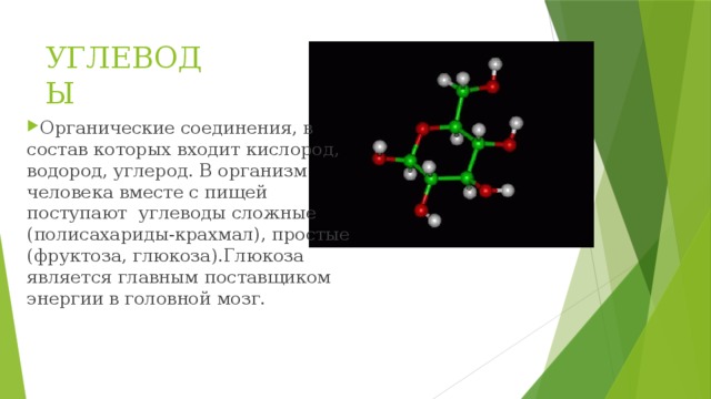 УГЛЕВОДЫ Органические соединения, в состав которых входит кислород, водород, углерод. В организм человека вместе с пищей поступают углеводы сложные (полисахариды-крахмал), простые (фруктоза, глюкоза).Глюкоза является главным поставщиком энергии в головной мозг. 