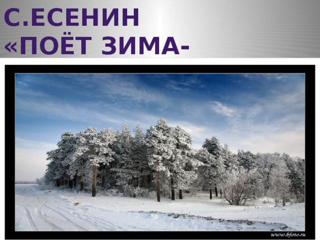 Есенин поет зима в сокращении. Сергей Александрович Есенин поет зима аукает. Сергей Есенин поёт зима аукает полностью. Есенин поёт зима-акует. Зима в стихотворении Есенина поет зима аукает.