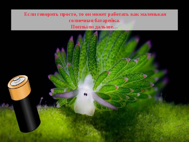  Если говорить просто, то он может работать как маленькая солнечная батарейка. Поплыли дальше… 