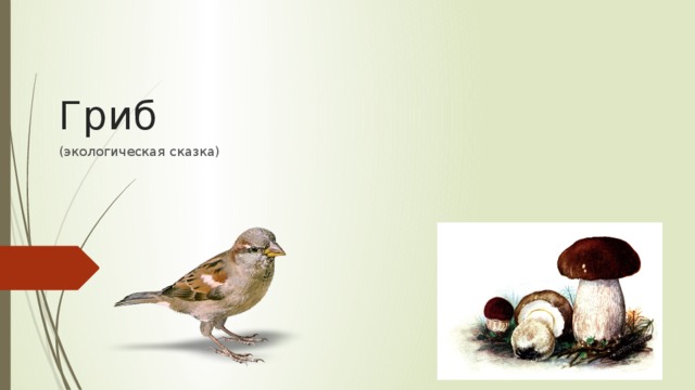 Гриб (экологическая сказка) 