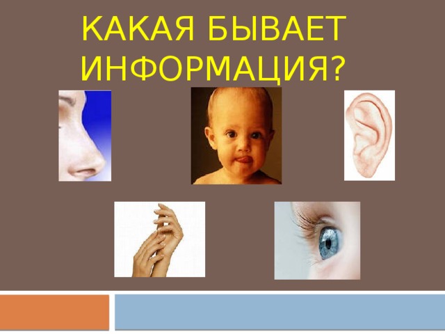 Какая бывает информация? 
