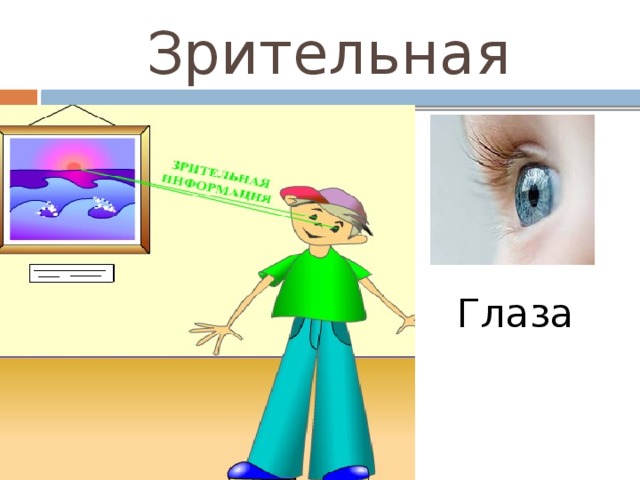 Зрительная Глаза 