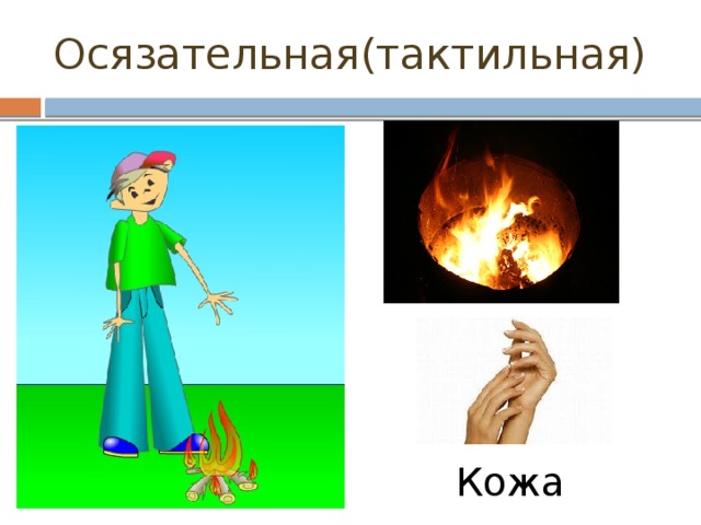 Осязательная(тактильная) Кожа 