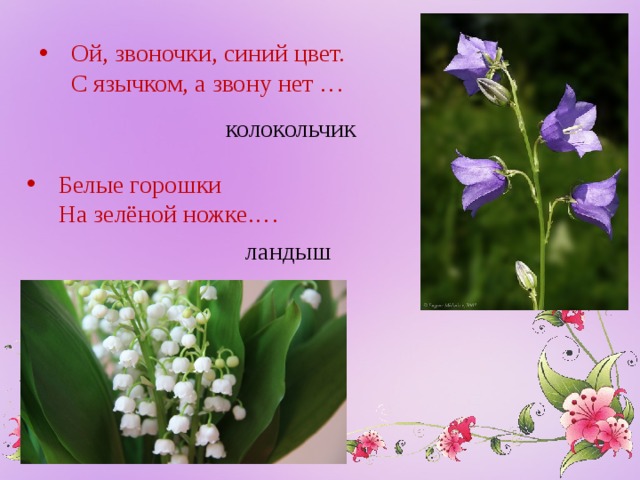 Ой, звоночки, синий цвет.  С язычком, а звону нет … колокольчик Белые горошки  На зелёной ножке.…