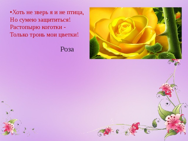 • Хоть не зверь я и не птица,  Но сумею защититься!  Растопырю коготки -  Только тронь мои цветки! Роза