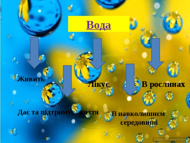 Вода  Живить Лікує В рослинах Дає та підтримує життя В навколишнєм середовиші 