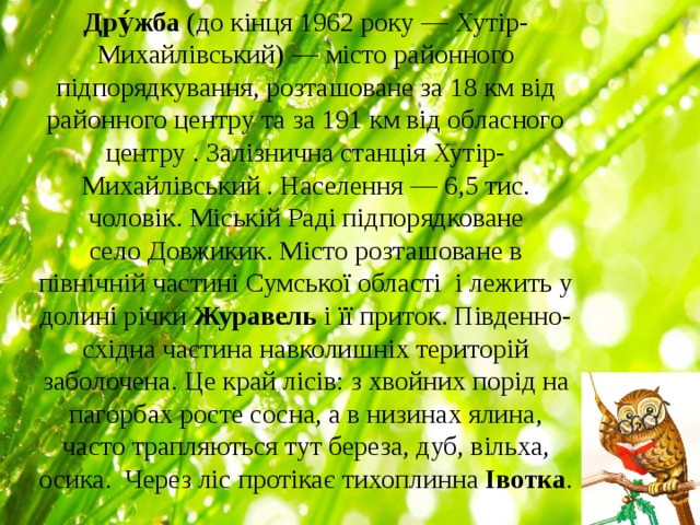 Дру́жба  (до кінця 1962 року — Хутір-Михайлівський) — місто районного підпорядкування, розташоване за 18 км від районного центру та за 191 км від обласного центру . Залізнична станція Хутір-Михайлівський . Населення — 6,5 тис. чоловік. Міській Раді підпорядковане село Довжикик. Місто розташоване в північній частині Сумської області  і лежить у долині річки  Журавель  і її приток. Південно-східна частина навколишніх територій заболочена. Це край лісів: з хвойних порід на пагорбах росте сосна, а в низинах ялина, часто трапляються тут береза, дуб, вільха, осика. Через ліс протікає тихоплинна  Івотка . 