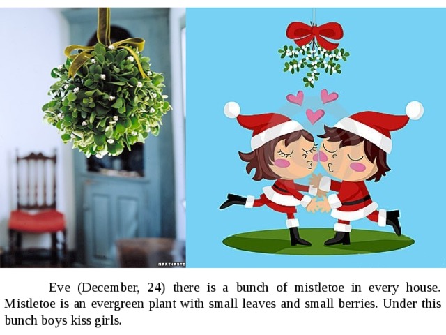  Eve (December, 24) there is a bunch of mistletoe in every house. Mistletoe is an evergreen plant with small leaves and small berries. Under this bunch boys kiss girls. 