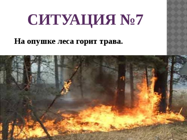 СИТУАЦИЯ №7 На опушке леса горит трава. 