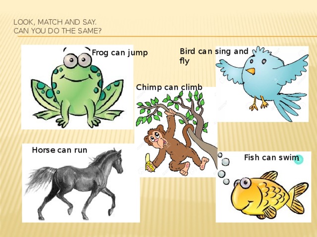 A chimp can sing. Что умеют делать животные 2 класс. Jump Frog can a составить предложение. Напиши что умеют делать животные a Frog can Jump. Рисунок английский язык i can Run Horse.