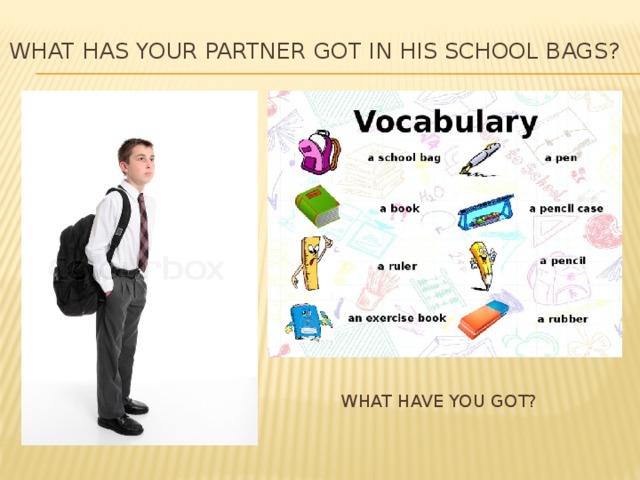 What has your partner got in his school bags?   What have you got?   