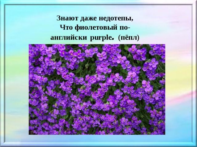 Фиолетовый на английском. Фиолетовый цвет по английскому. Сиреневый цвет на английском. Пурпурный цвет на английском языке.