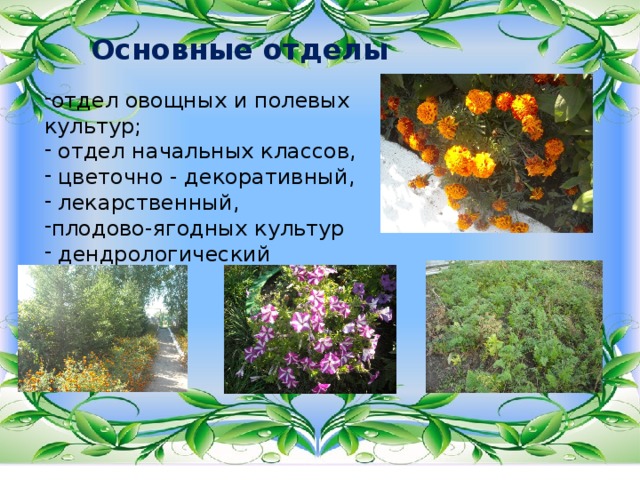 Основные отделы отдел овощных и полевых культур;  отдел начальных классов,  цветочно - декоративный,  лекарственный, плодово-ягодных культур  дендрологический 