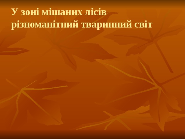 У зоні мішаних лісів різноманітний тваринний світ 