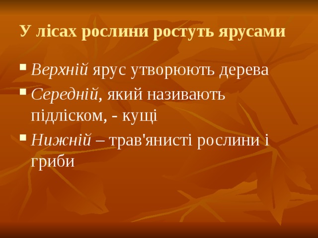 У лісах рослини ростуть ярусами Верхній ярус утворюють дерева Середній , який називають підліском, - кущі Нижній – трав'янисті рослини і гриби 